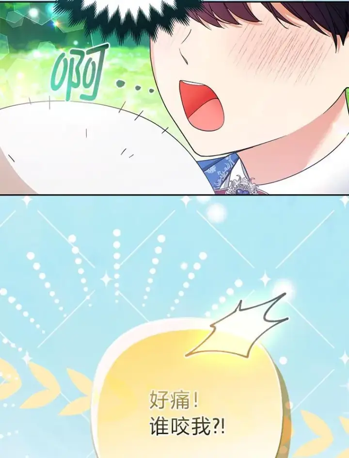 《大公家的狐狸皇女》57.求婚情书图34