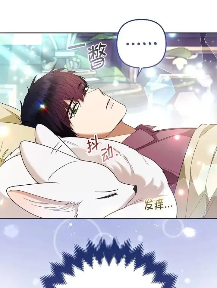 《大公家的狐狸皇女》57.求婚情书图37