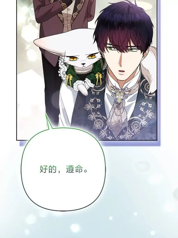《大公家的狐狸皇女》57.求婚情书图65