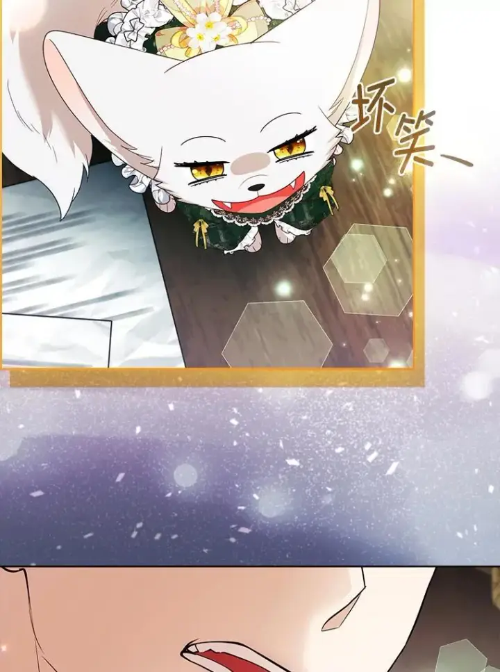 《大公家的狐狸皇女》57.求婚情书图71