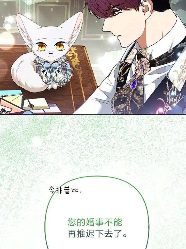 《大公家的狐狸皇女》57.求婚情书图82