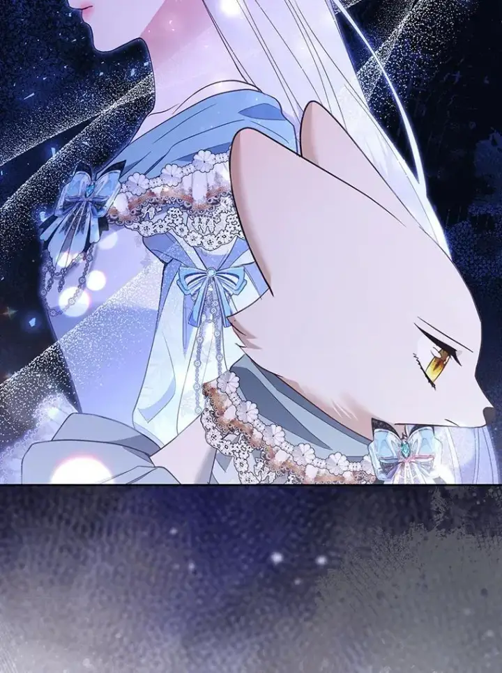 《大公家的狐狸皇女》57.求婚情书图87