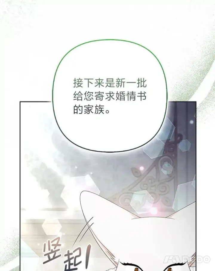 《大公家的狐狸皇女》58.筹备相亲宴会图101