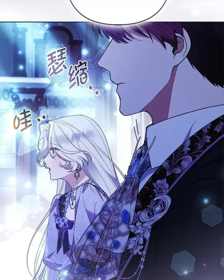 《大公家的狐狸皇女》58.筹备相亲宴会图28