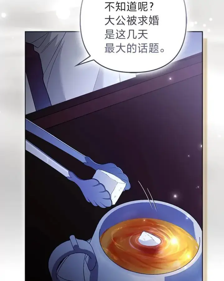 《大公家的狐狸皇女》58.筹备相亲宴会图30