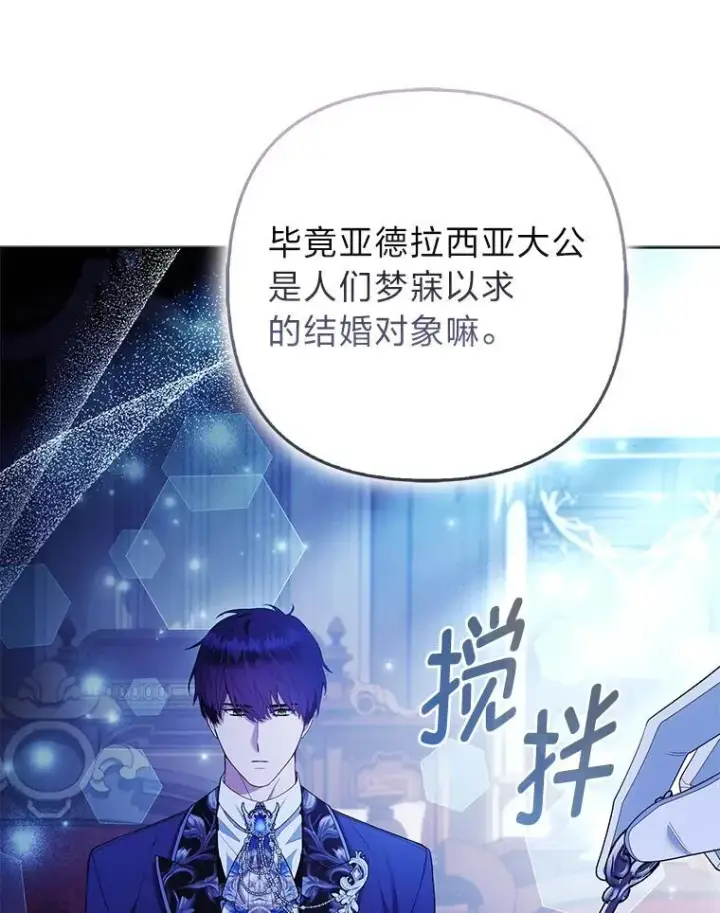 《大公家的狐狸皇女》58.筹备相亲宴会图34