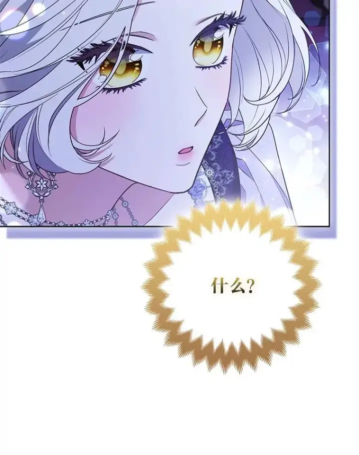 《大公家的狐狸皇女》58.筹备相亲宴会图45
