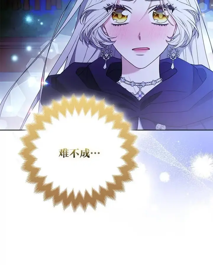《大公家的狐狸皇女》58.筹备相亲宴会图54
