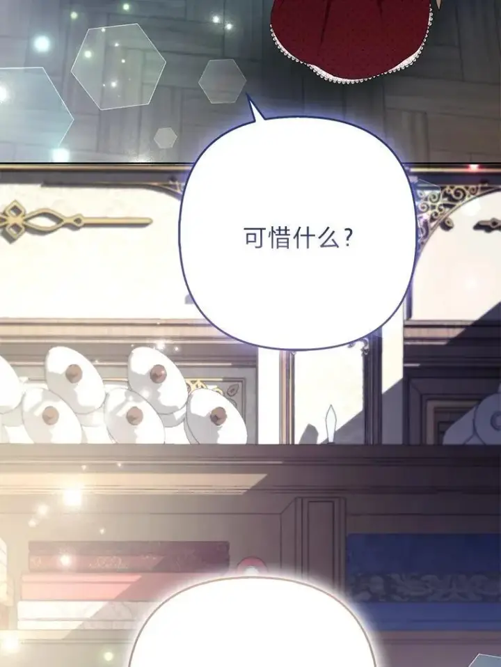 《大公家的狐狸皇女》58.筹备相亲宴会图64