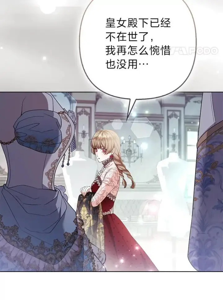 《大公家的狐狸皇女》58.筹备相亲宴会图69