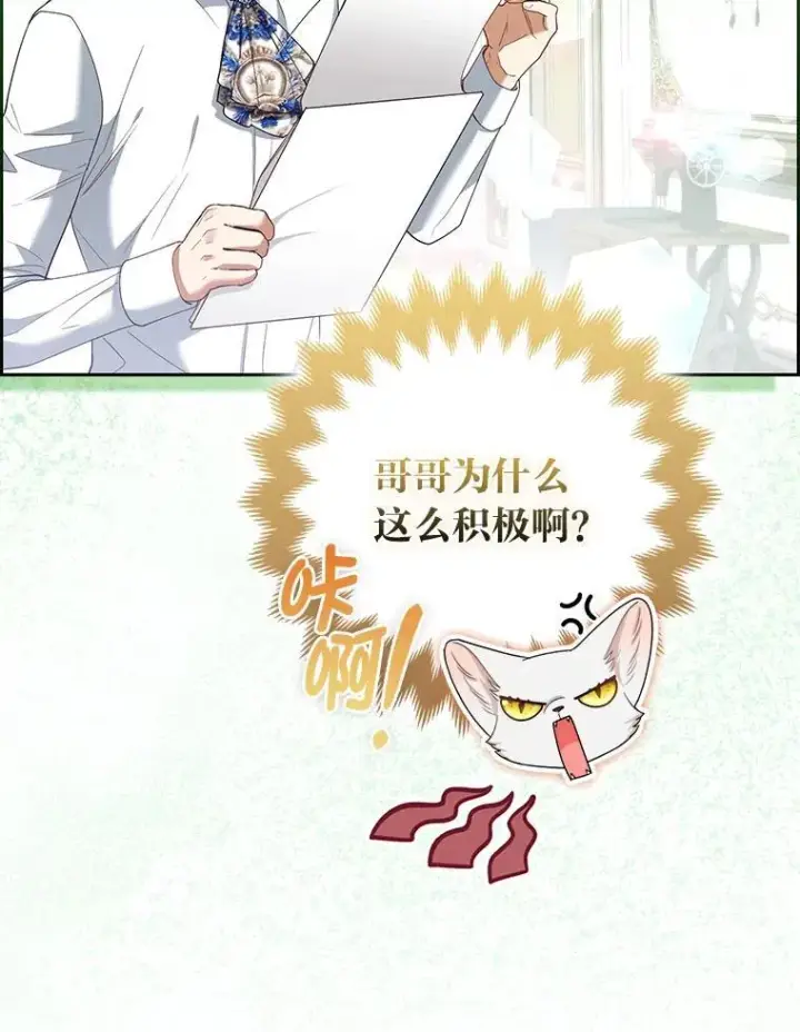 《大公家的狐狸皇女》58.筹备相亲宴会图81