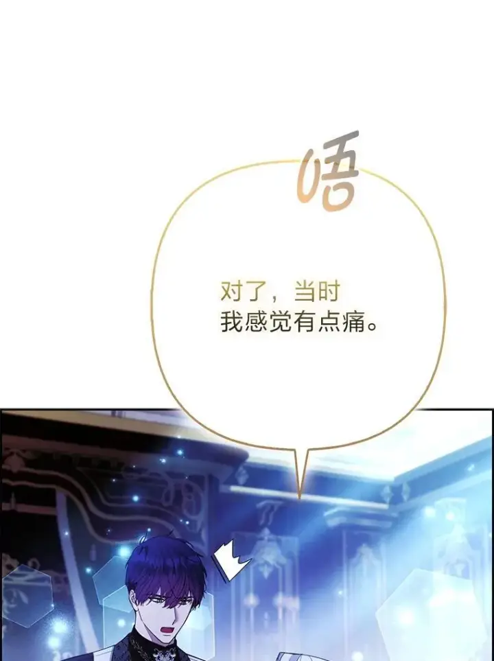 《大公家的狐狸皇女》61.误打误撞图62
