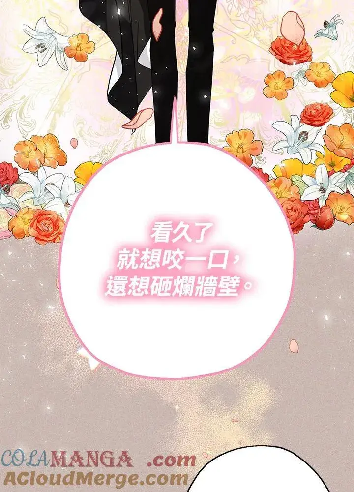 《代币女孩勇闯奇幻世界》第13话图133