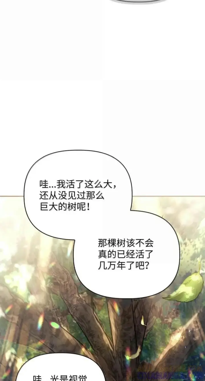 漫画《当反派拥有了全知属性》136 世界树的秘密？第9张图