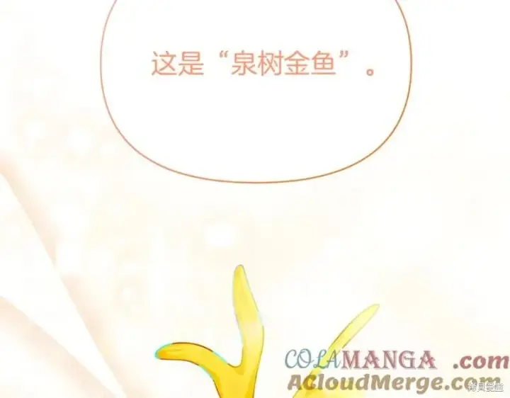 漫画《当女巫的女儿解除了男主的诅咒》第31话第161张图