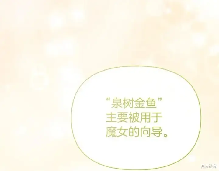 漫画《当女巫的女儿解除了男主的诅咒》第31话第164张图