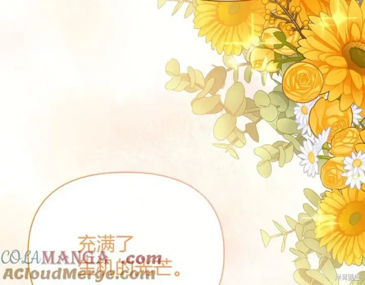 漫画《当女巫的女儿解除了男主的诅咒》第32话第165张图
