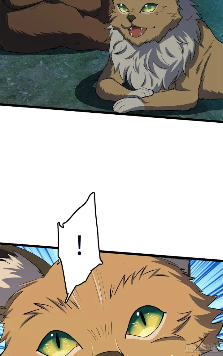 漫画《大王饶命》77 可怜的小动物们第41张图