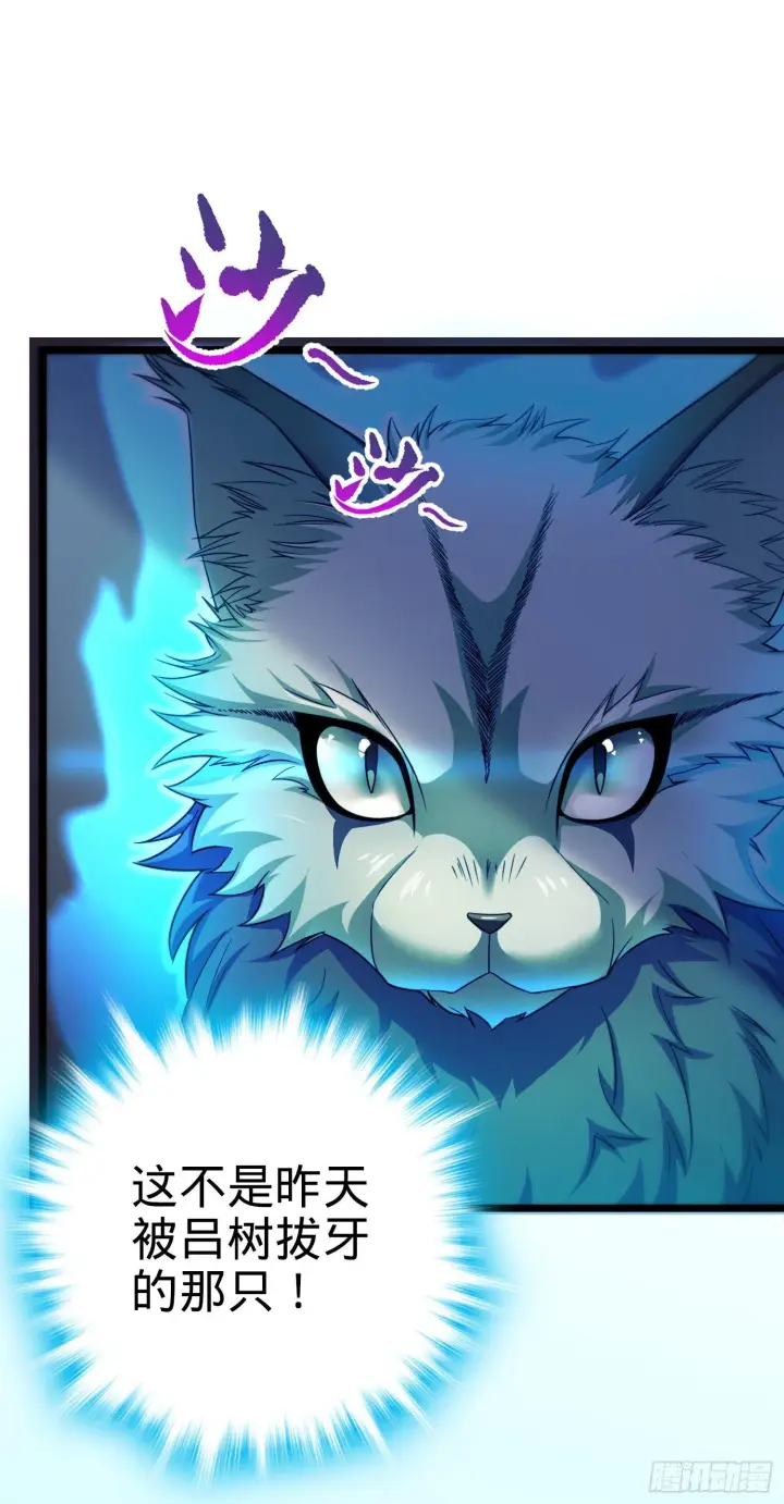 漫画《大王饶命》79 皮皮猪，我们走！第14张图