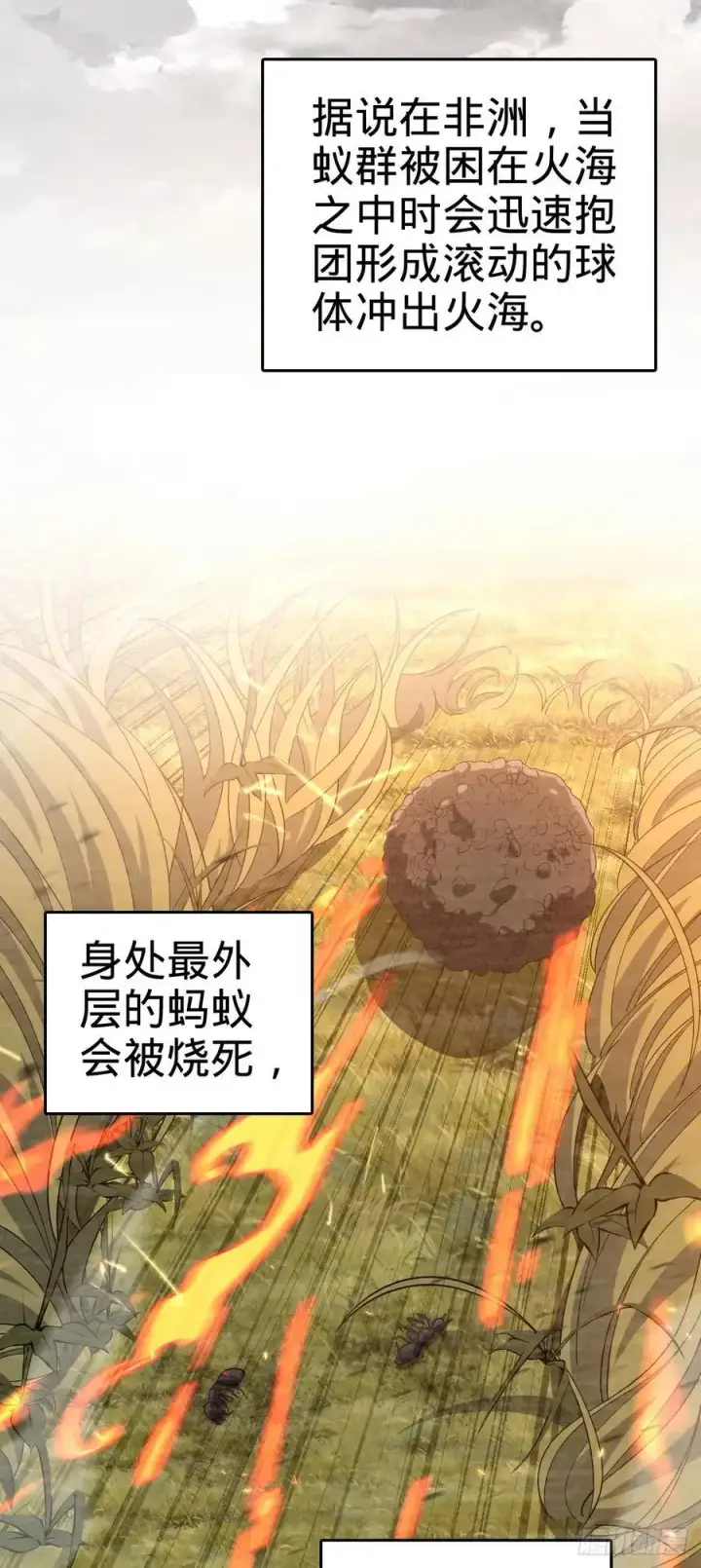 漫画《大王饶命》875 刺杀第15张图