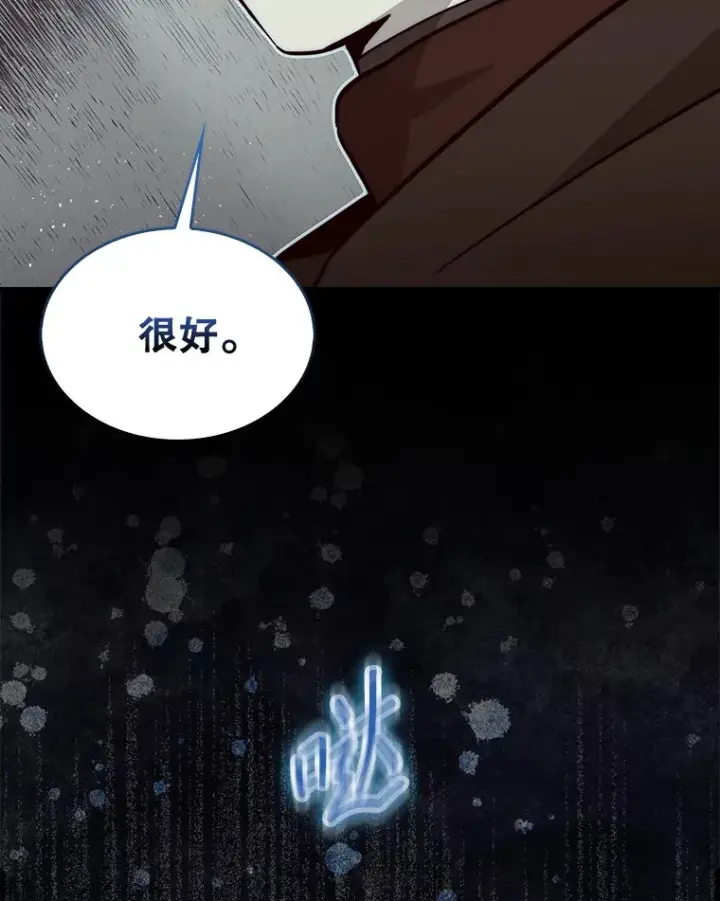 漫画《第31枚棋子打翻棋盘》3.影子召唤师第100张图
