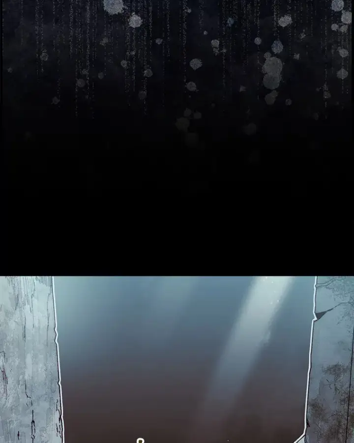 漫画《第31枚棋子打翻棋盘》3.影子召唤师第105张图
