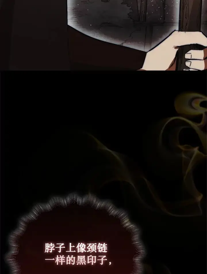 漫画《第31枚棋子打翻棋盘》3.影子召唤师第132张图