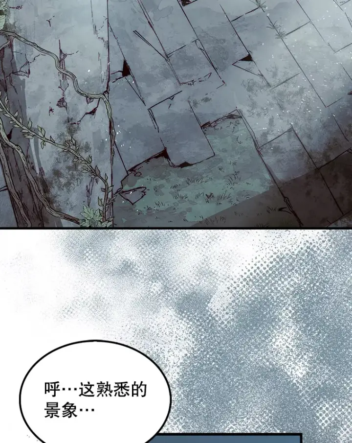 漫画《第31枚棋子打翻棋盘》3.影子召唤师第40张图