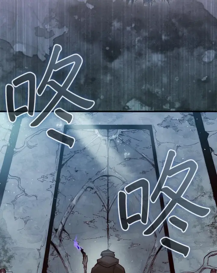 漫画《第31枚棋子打翻棋盘》3.影子召唤师第43张图