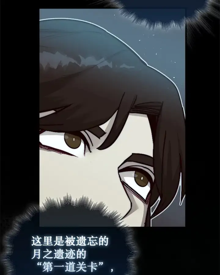 漫画《第31枚棋子打翻棋盘》3.影子召唤师第66张图