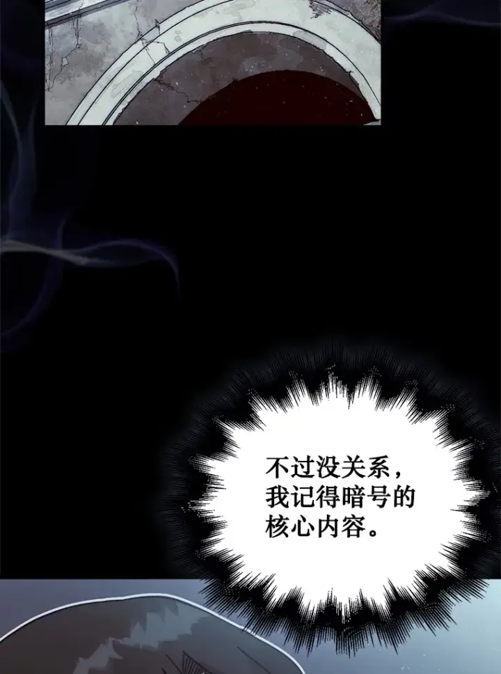 漫画《第31枚棋子打翻棋盘》3.影子召唤师第80张图