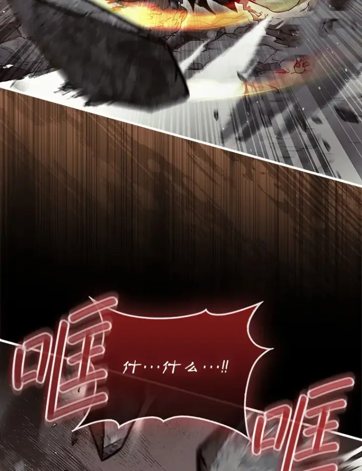 《第31枚棋子打翻棋盘》10.兄弟大战图111