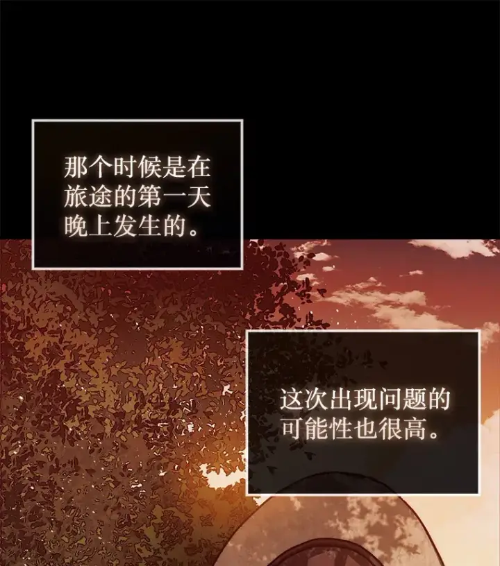 《第31枚棋子打翻棋盘》17.诺维拉运输护卫图38