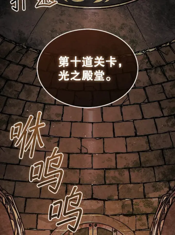 《第31枚棋子打翻棋盘》20.突破重重关卡图132