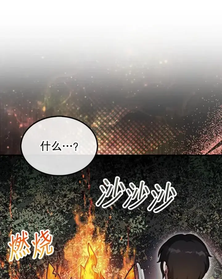 《第31枚棋子打翻棋盘》32.精灵的烦恼图25