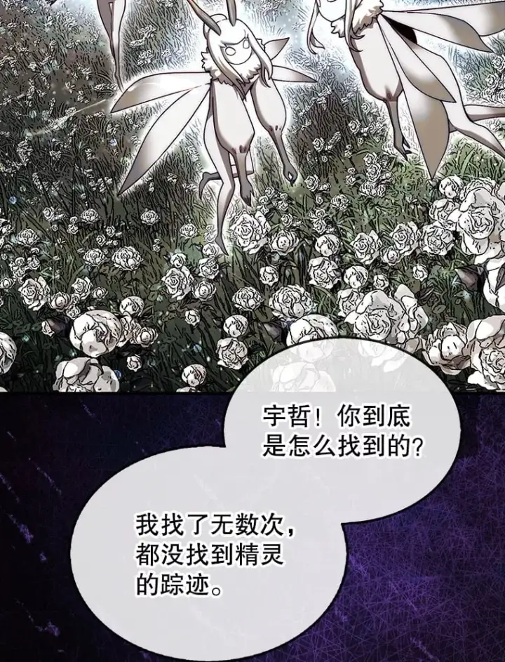 《第31枚棋子打翻棋盘》32.精灵的烦恼图67