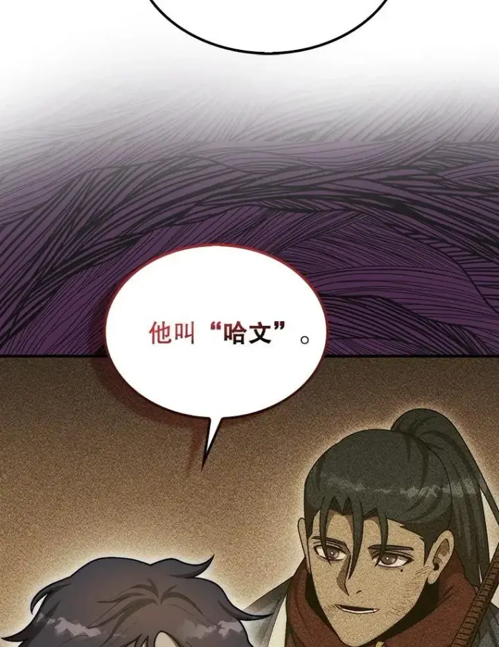 《第31枚棋子打翻棋盘》42.哈文图52