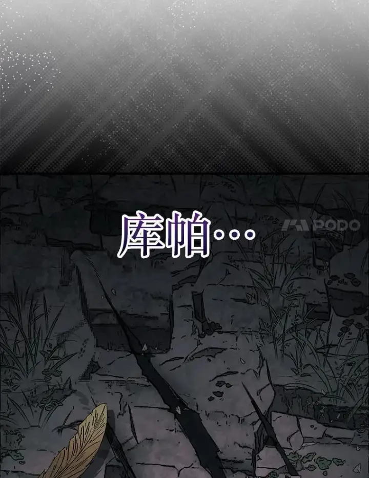 《第31枚棋子打翻棋盘》50.库帕图104