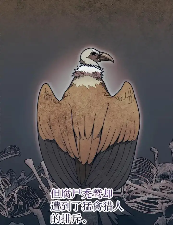 《第31枚棋子打翻棋盘》50.库帕图124