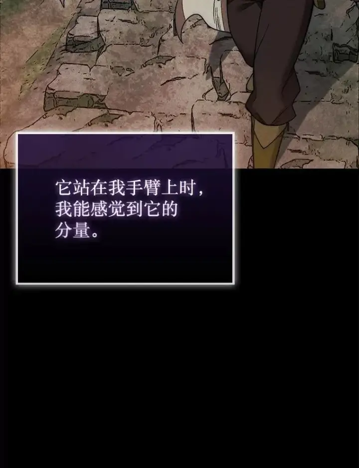 《第31枚棋子打翻棋盘》50.库帕图129