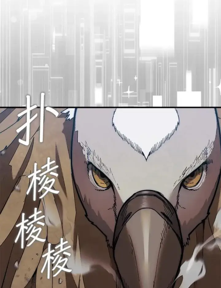 《第31枚棋子打翻棋盘》50.库帕图86