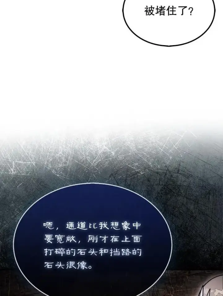《第31枚棋子打翻棋盘》51.难抓的蜘蛛图31