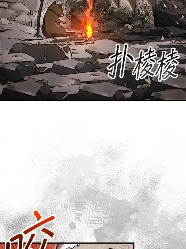 《第31枚棋子打翻棋盘》51.难抓的蜘蛛图66
