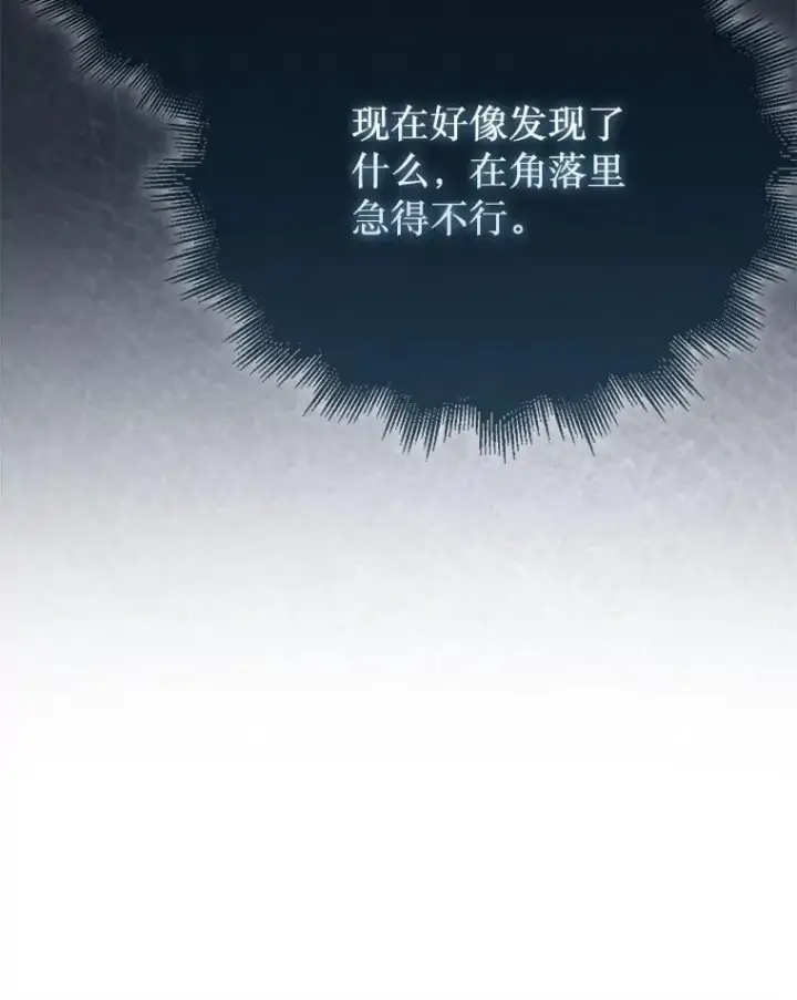 《第31枚棋子打翻棋盘》54.库帕相助图129
