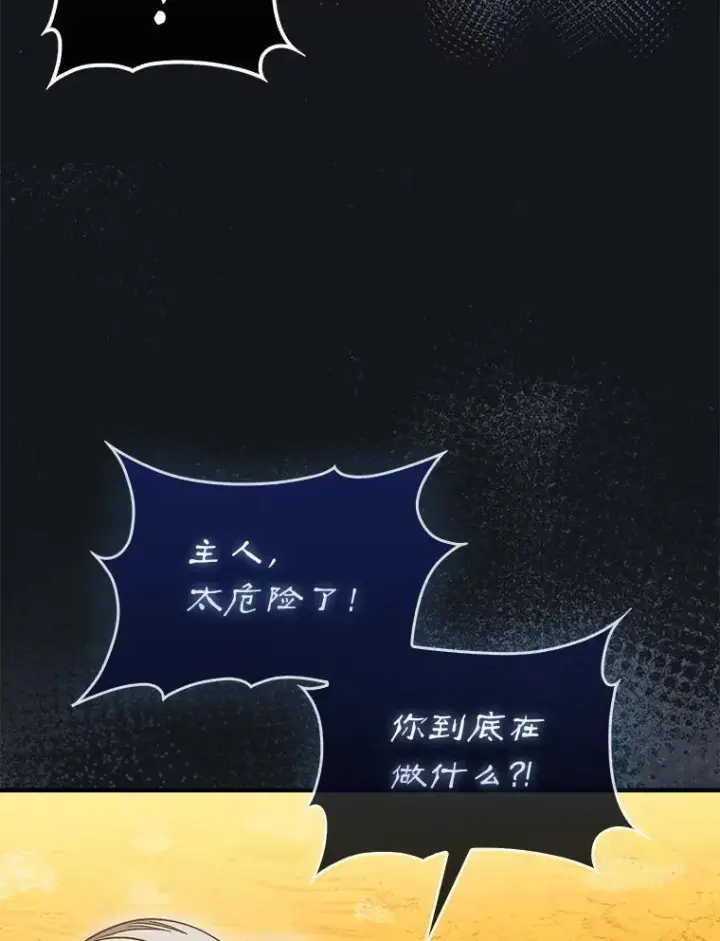 《第31枚棋子打翻棋盘》54.库帕相助图132