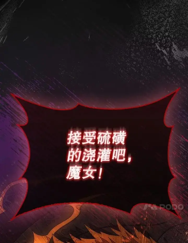 《第31枚棋子打翻棋盘》54.库帕相助图21