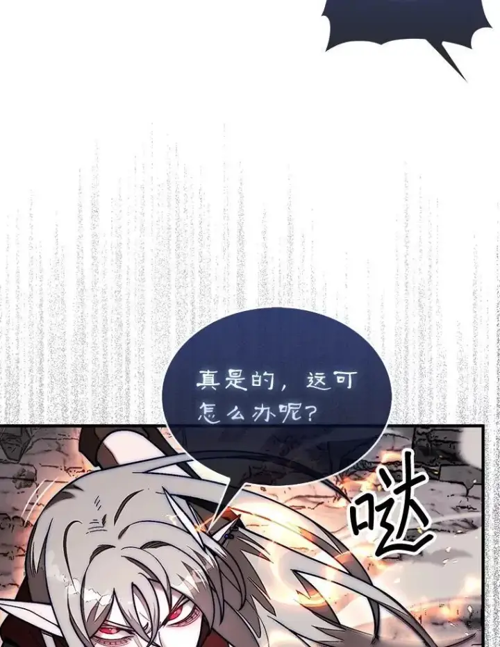 《第31枚棋子打翻棋盘》54.库帕相助图27