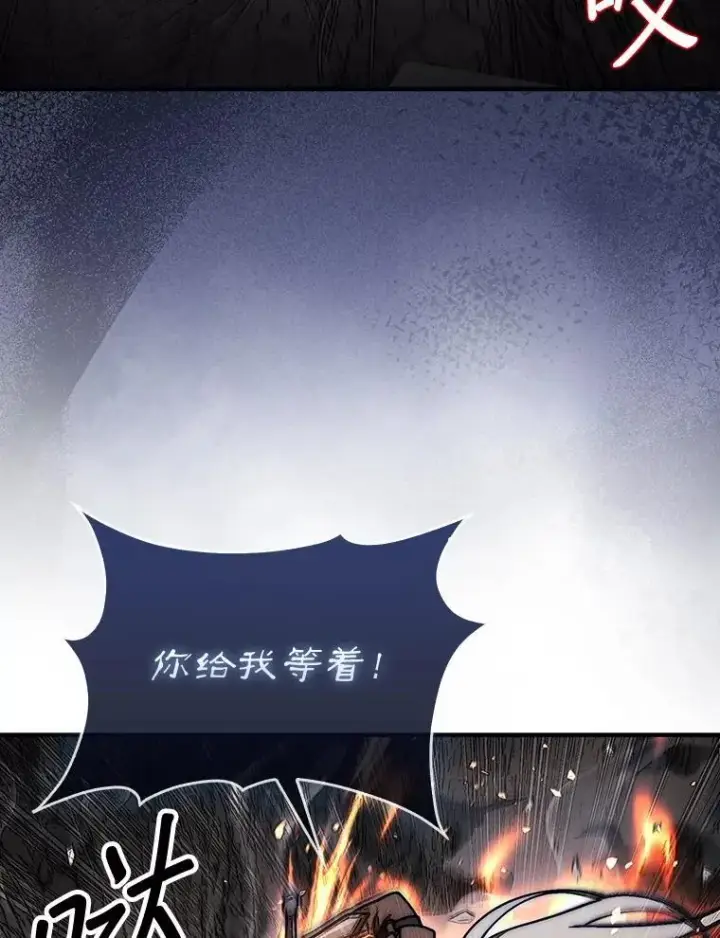 《第31枚棋子打翻棋盘》54.库帕相助图32