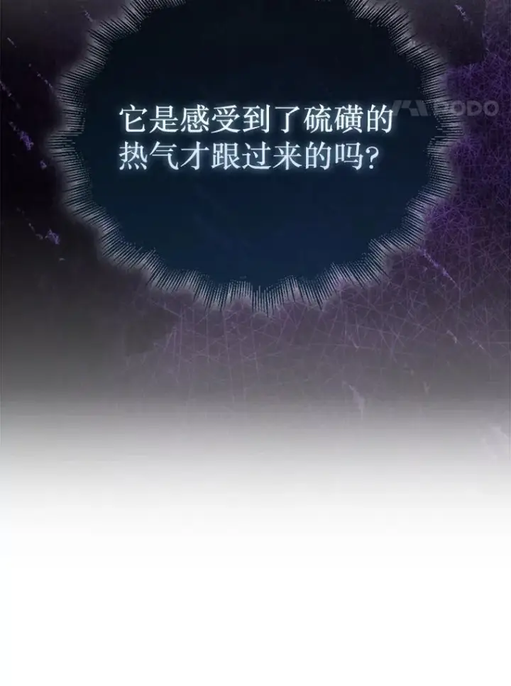 《第31枚棋子打翻棋盘》54.库帕相助图74