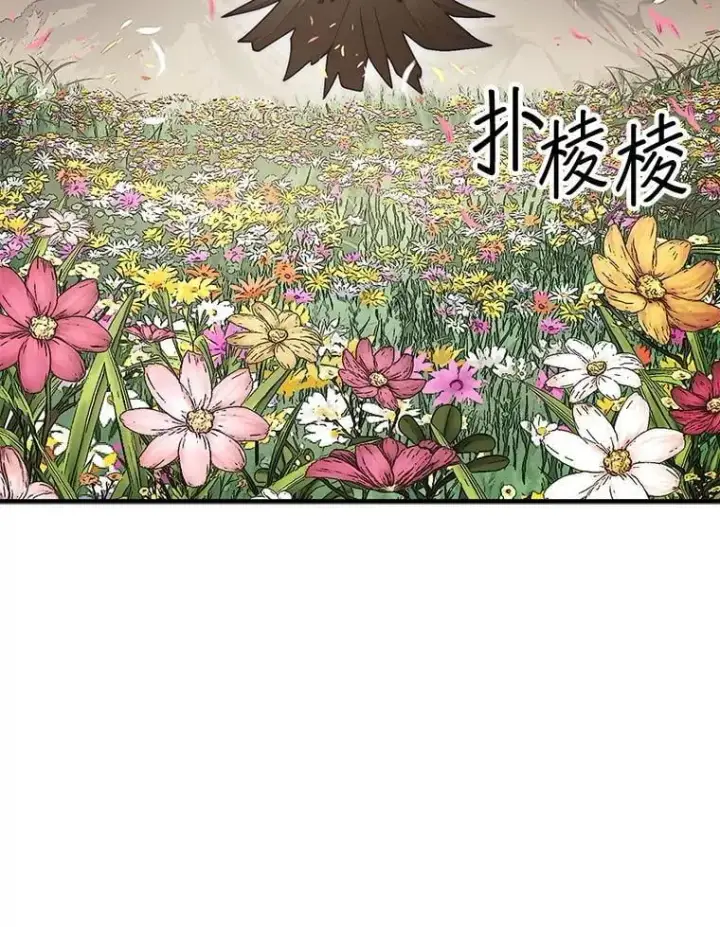 《第31枚棋子打翻棋盘》55.让凯利安息图26